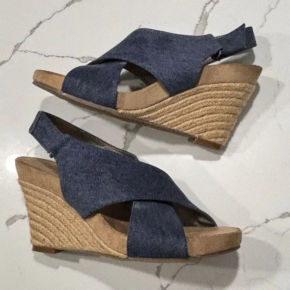 Aerosoles |  